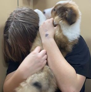 Meet your Posher, Tessa